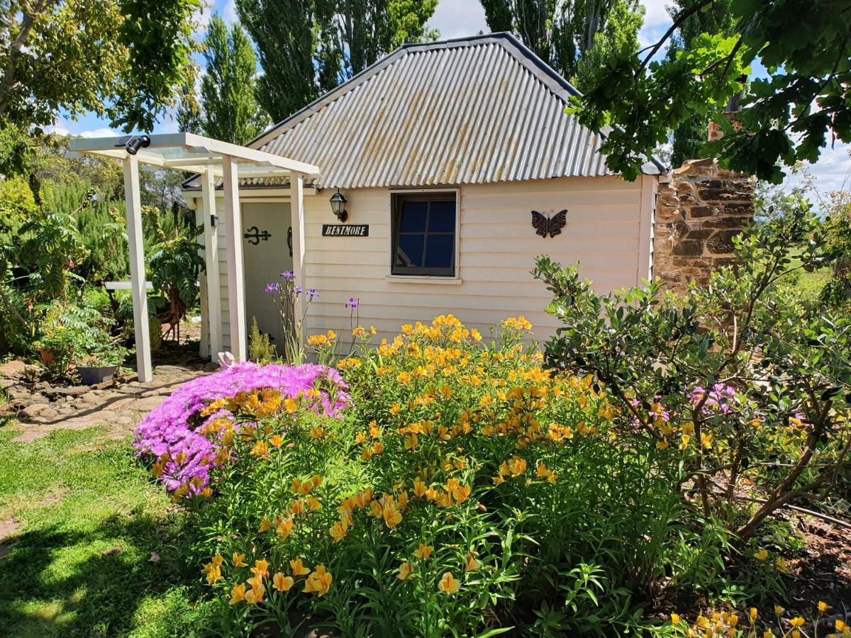 Belmont Homestead Swansea Exterior foto